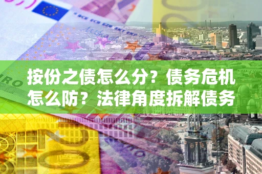 武汉按份之债怎么分？债务危机怎么防？法律角度拆解债务分配与风险自保指南