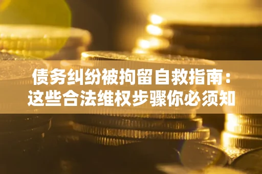 武汉债务纠纷被拘留自救指南：这些合法维权步骤你必须知道！