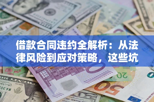 武汉借款合同违约全解析：从法律风险到应对策略，这些坑别再踩！