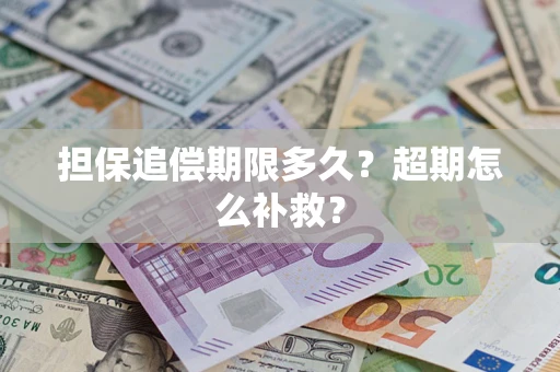 武汉担保追偿期限多久？超期怎么补救？