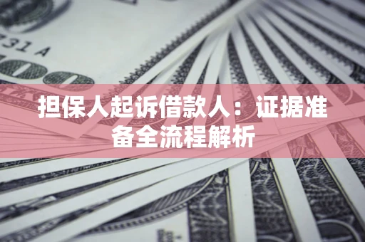 武汉担保人起诉借款人：证据准备全流程解析